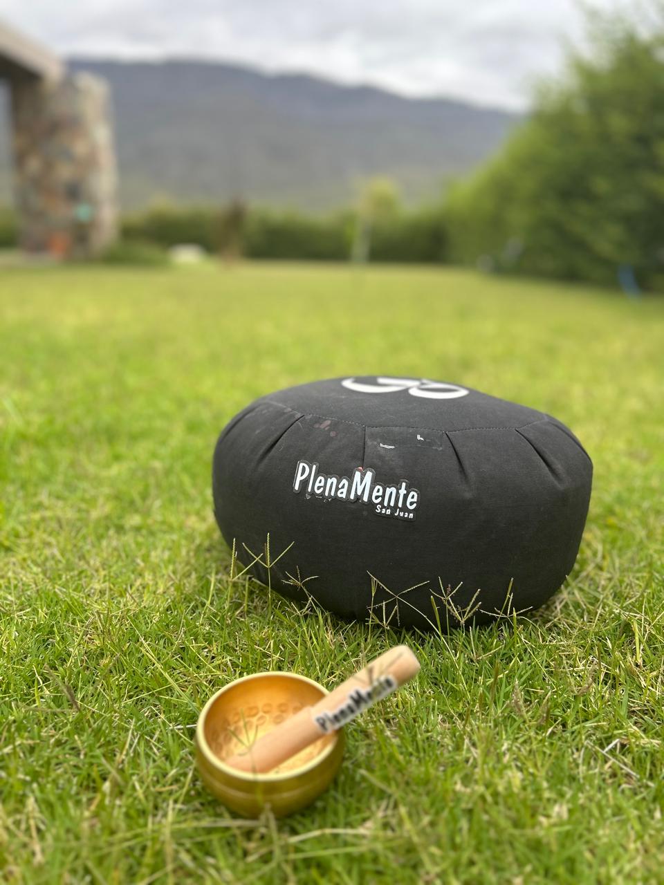 ¿Qué es PlenaMente?